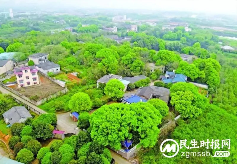 非凡十年·生态环境篇丨湘潭十年“生态答卷”