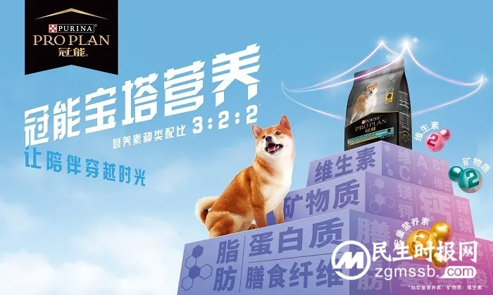 冠能品牌战略升级,雀巢普瑞纳官宣全新宝塔营养理念 冠能品牌战略升级,雀巢普瑞纳官宣全新宝塔营养理念