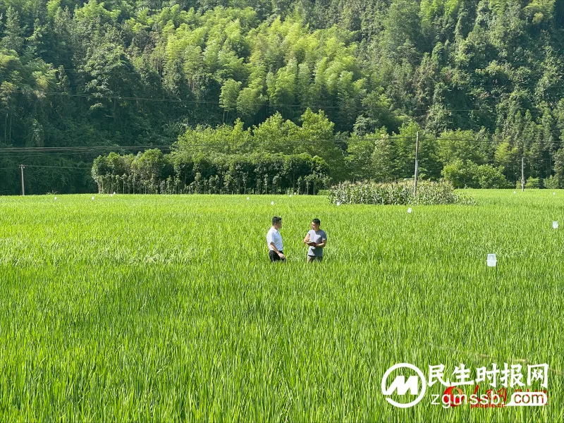 “我和我的新时代”乡村振兴调研行农业篇 “我和我的新时代”乡村振兴调研行农业篇