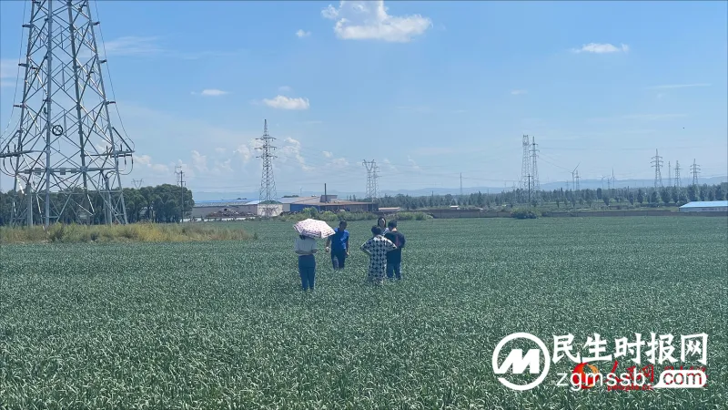 “我和我的新时代”乡村振兴调研行农业篇 “我和我的新时代”乡村振兴调研行农业篇