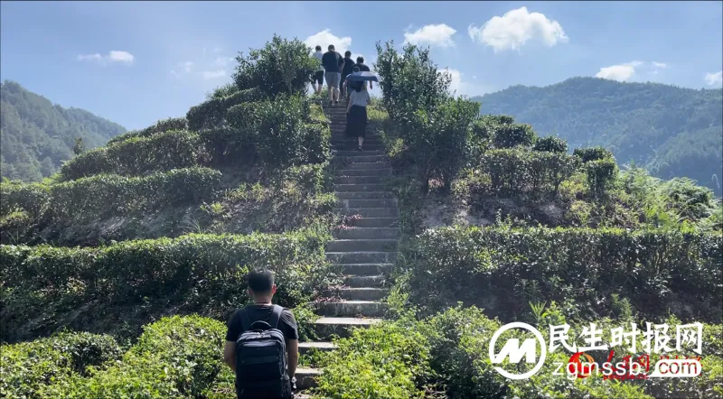 “我和我的新时代”乡村振兴调研行农业篇 “我和我的新时代”乡村振兴调研行农业篇