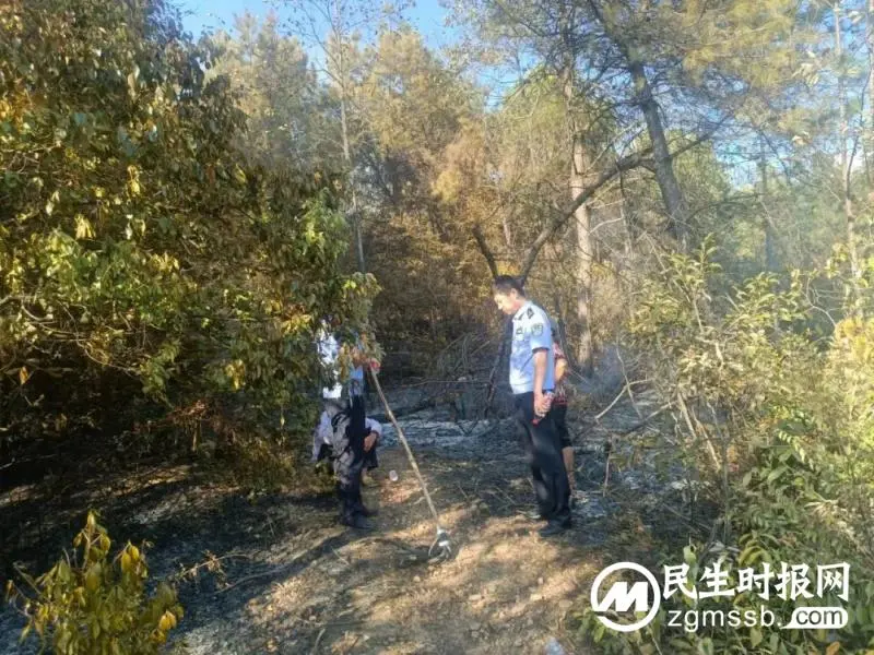 违规用火,惹“火”上身!湘潭县公安局查处首例违规野外用火案 违规用火,惹“火”上身!湘潭县公安局查处首例违规野外用火案