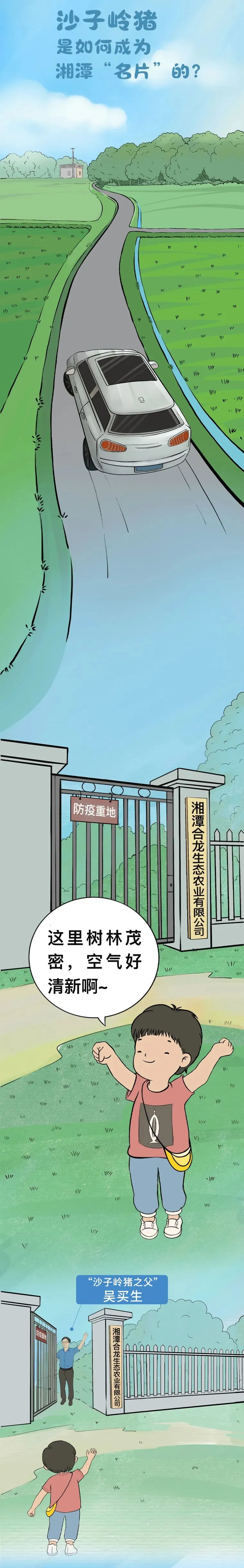 沙子岭猪，是如何成为湘潭“名片”的？