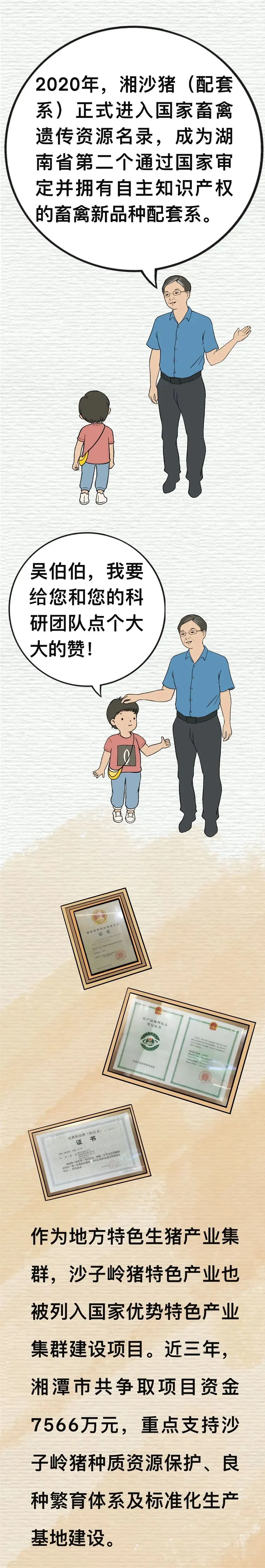 沙子岭猪，是如何成为湘潭“名片”的？
