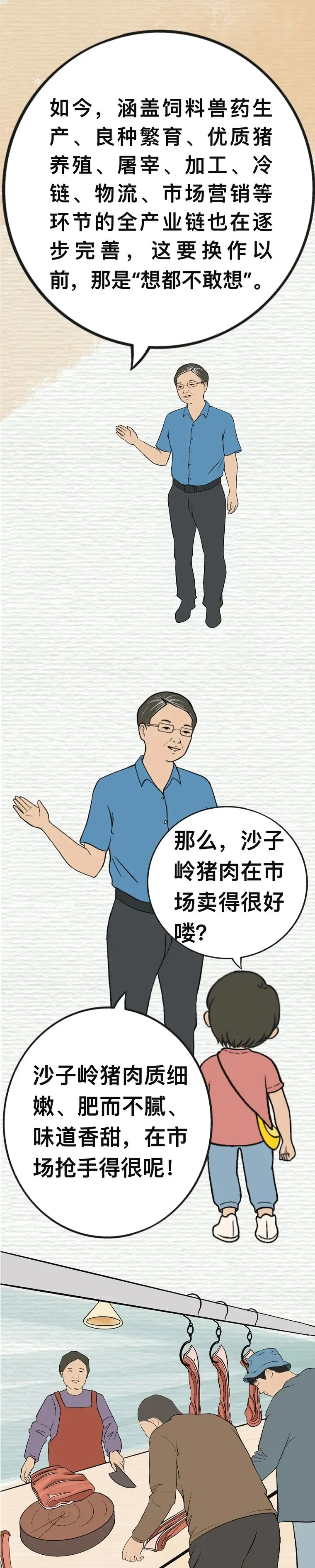 沙子岭猪，是如何成为湘潭“名片”的？