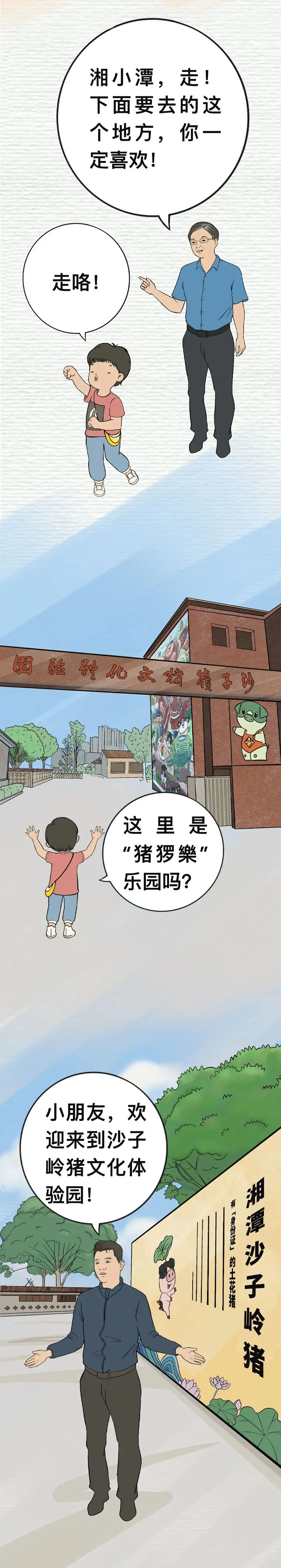 沙子岭猪，是如何成为湘潭“名片”的？