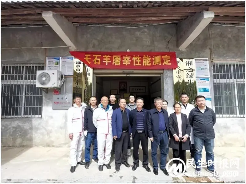 ​“壶天石羊”有望成为我市第二个新认定畜禽遗传资源