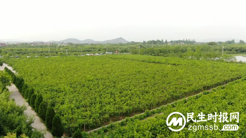 民族品牌×中国速度丨中禾宝桑冠名高铁列车,为健康中国赋能/护航! 民族品牌×中国速度丨中禾宝桑冠名高铁列车,为健康中国赋能/护航!