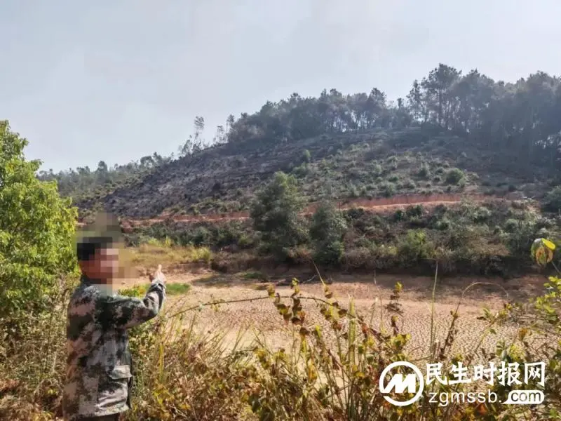 焚烧树枝引发山火,湘潭县警方快速查处一起违规野外用火案 焚烧树枝引发山火,湘潭县警方快速查处一起违规野外用火案