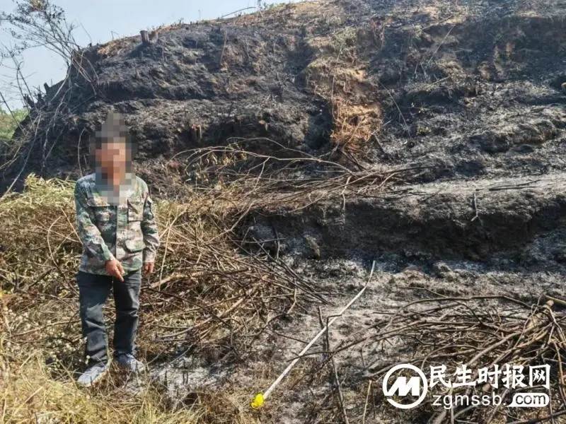 焚烧树枝引发山火,湘潭县警方快速查处一起违规野外用火案 焚烧树枝引发山火,湘潭县警方快速查处一起违规野外用火案