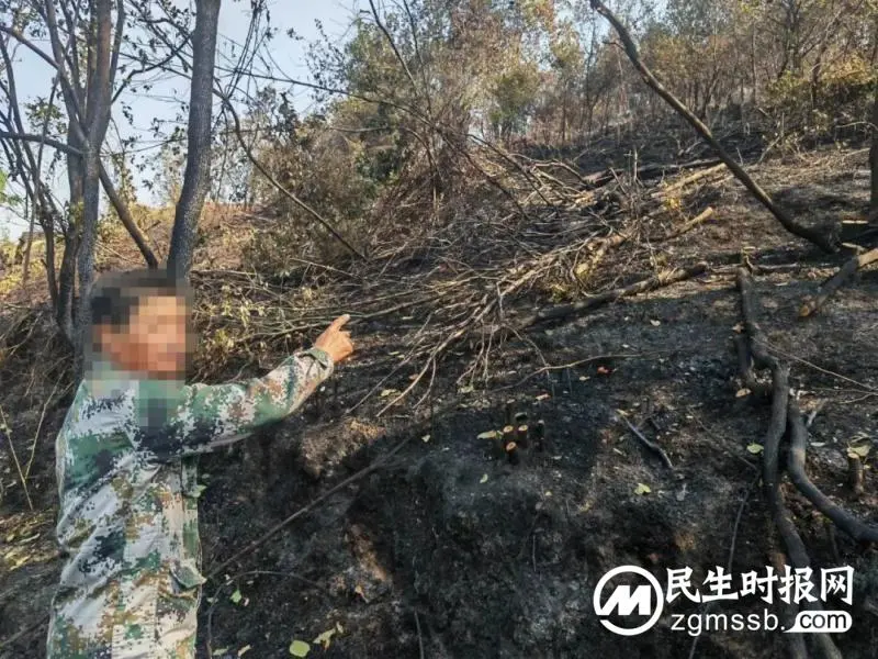 焚烧树枝引发山火,湘潭县警方快速查处一起违规野外用火案 焚烧树枝引发山火,湘潭县警方快速查处一起违规野外用火案