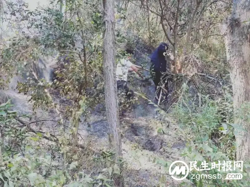 警示!湘潭县警方严惩野外违规用火行为