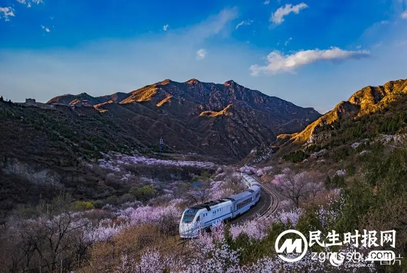 开往春天的列车