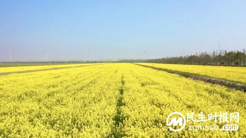 湘潭市秋冬种生产实施方案解读