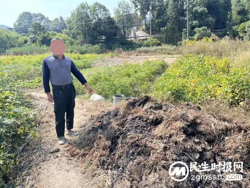 社会治安防控体系建设 l 违反禁火令，两人被处罚！