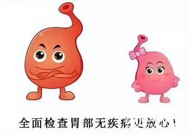 无痛胃镜、普通胃镜检查注意事项