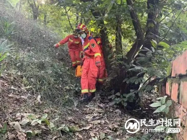 昆明宜良:穿瓜棚、过石桥,快速解救跌坠菜园七旬老人