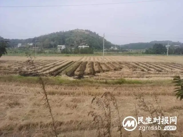 为省事焚烧秸秆，湘潭县警方又查处一起违规野外用火案