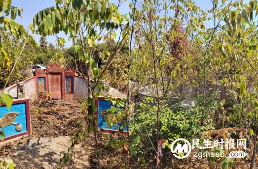 湘潭县:依法拆除两座侵占林地的“活人墓” 湘潭县:依法拆除两座侵占林地的“活人墓”