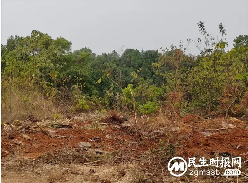 湘潭县:依法拆除两座侵占林地的“活人墓” 湘潭县:依法拆除两座侵占林地的“活人墓”