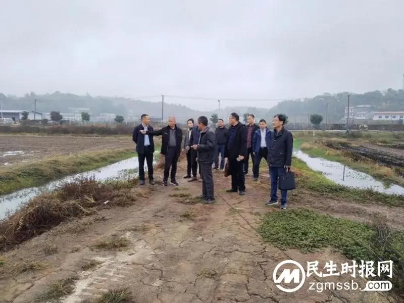 湘潭市政协农业和农村委民主监督小组对我市莲稻渔综合种养开展民主监督 湘潭市政协农业和农村委民主监督小组对我市莲稻渔综合种养开展民主监督
