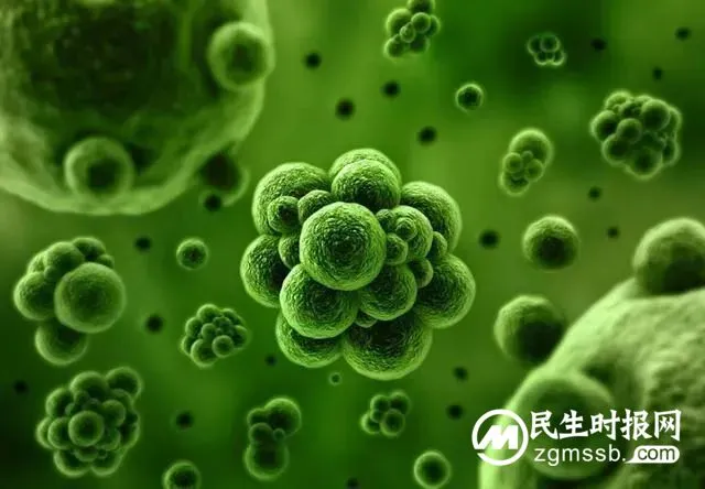 宣和钧釉抗菌釉面涂料助力医院建设，筑起“生命保护屏障”！
