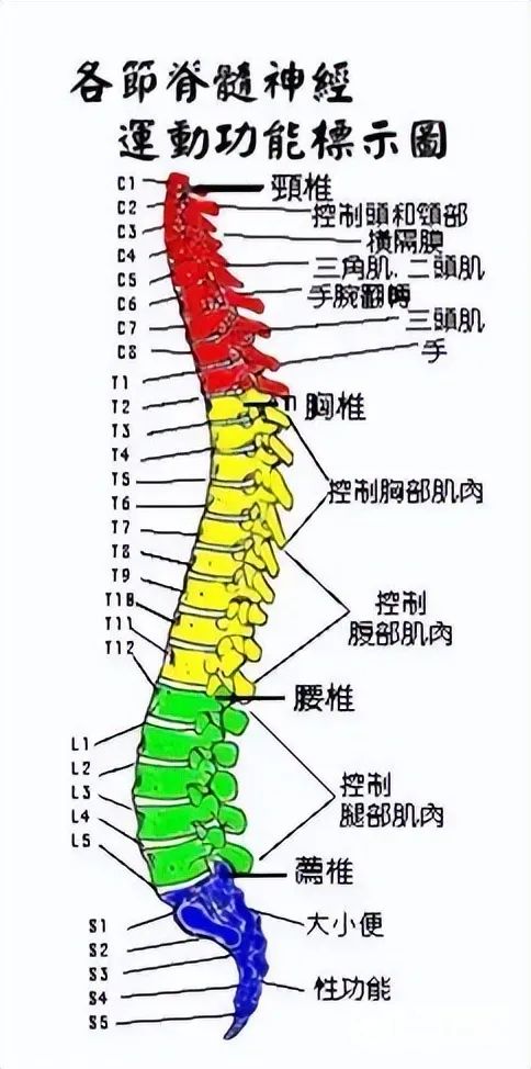 【中医治疗】脊髓损伤后的康复治疗