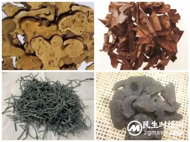 湘潭县传统技能型人才工作室（中药特色技术）落户我院