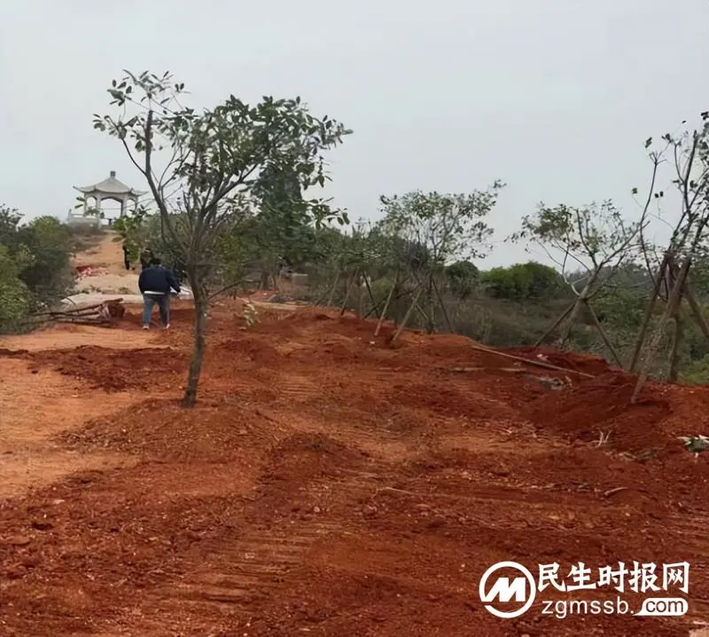 湘潭县民政局：非法修建“活人墓”，拆！
