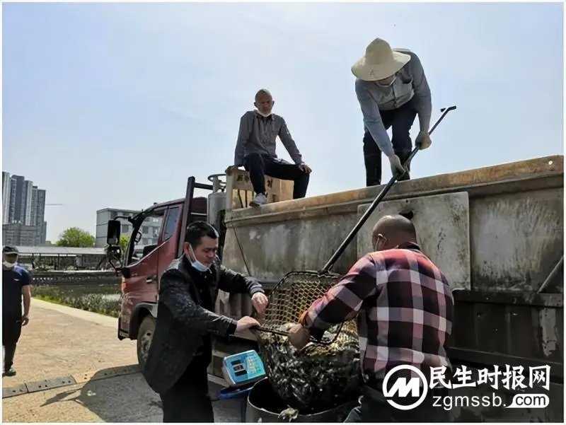 湘潭市“三个结合”筑牢畜禽水产品质量安全网 湘潭市“三个结合”筑牢畜禽水产品质量安全网