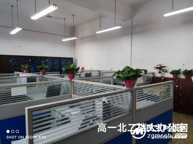 书香雅室 “境”润师心——湘潭市一中开展“文明卫生办公室”评比活动