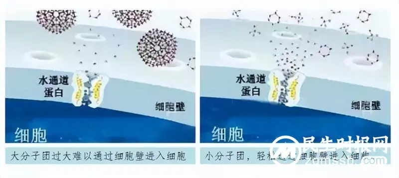 这些生活饮用水健康知识,你一定要知道! 这些生活饮用水健康知识,你一定要知道!