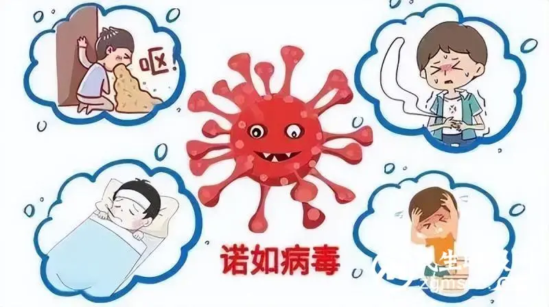 湘潭市二中预防“诺如病毒”致家长一封信 湘潭市二中预防“诺如病毒”致家长一封信