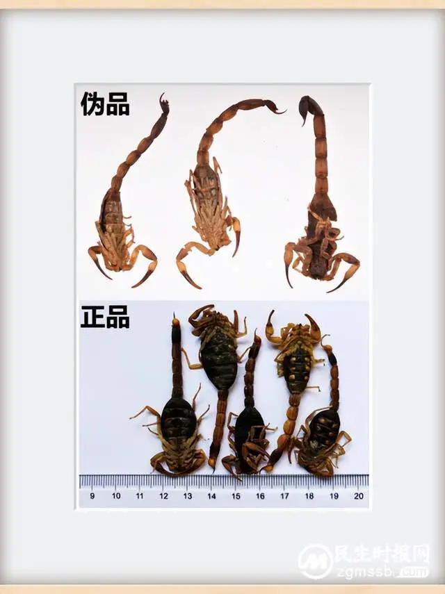 湘潭县传统技能型人才工作室（中药特色技术）落户我院