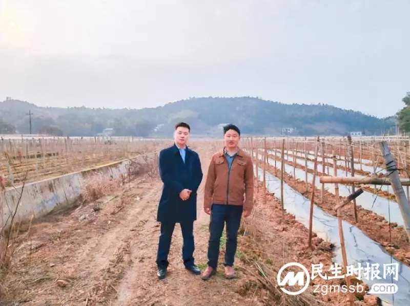 湘潭天易农商银行:强化业务创新 为湘潭市首本农村产权《流转交易鉴证书》金融赋能 湘潭天易农商银行:强化业务创新 为湘潭市首本农村产权《流转交易鉴证书》金融赋能