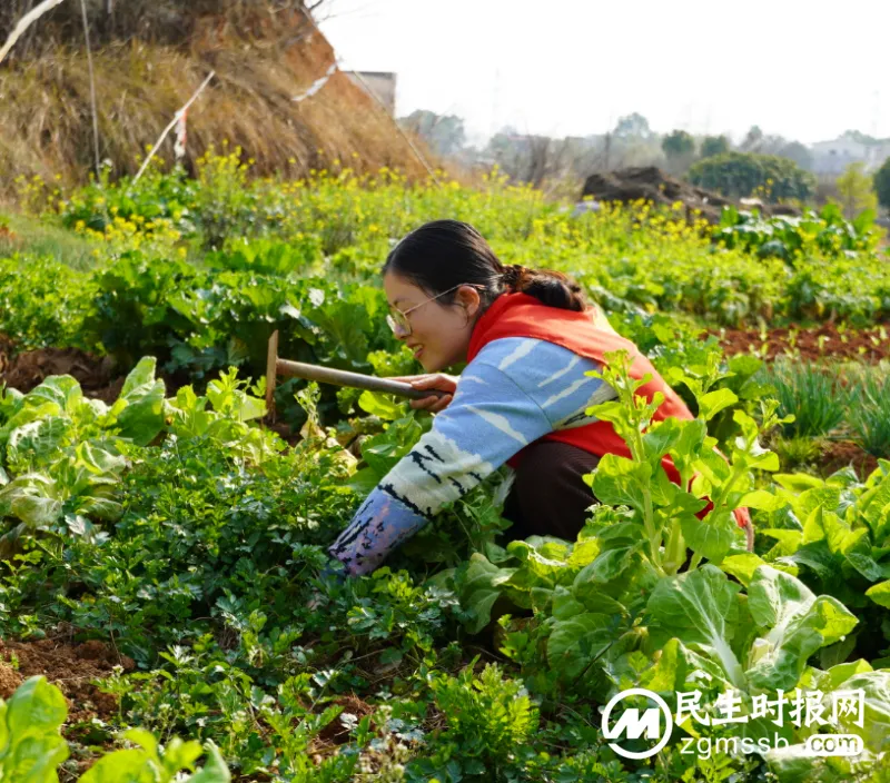 湘潭市救助管理站开展“学雷锋”主题党日活动 湘潭市救助管理站开展“学雷锋”主题党日活动