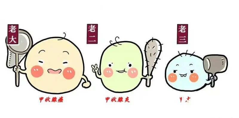 经历了这场大战后,我终于明白了一个道理...... 经历了这场大战后,我终于明白了一个道理......