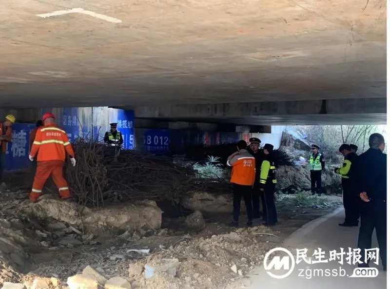 高速公路桥下空间不是“大仓库”!湘潭交通执法部门开展“深度清理” 高速公路桥下空间不是“大仓库”!湘潭交通执法部门开展“深度清理”