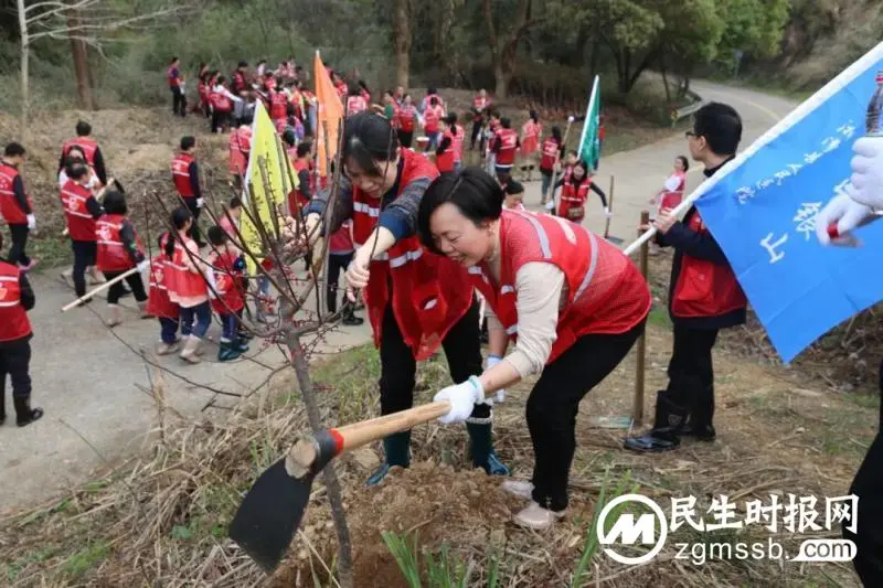 为自然增添一抹绿意 是我们对春天的献礼