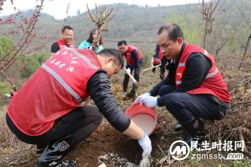 为自然增添一抹绿意 是我们对春天的献礼