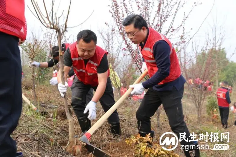 为自然增添一抹绿意 是我们对春天的献礼
