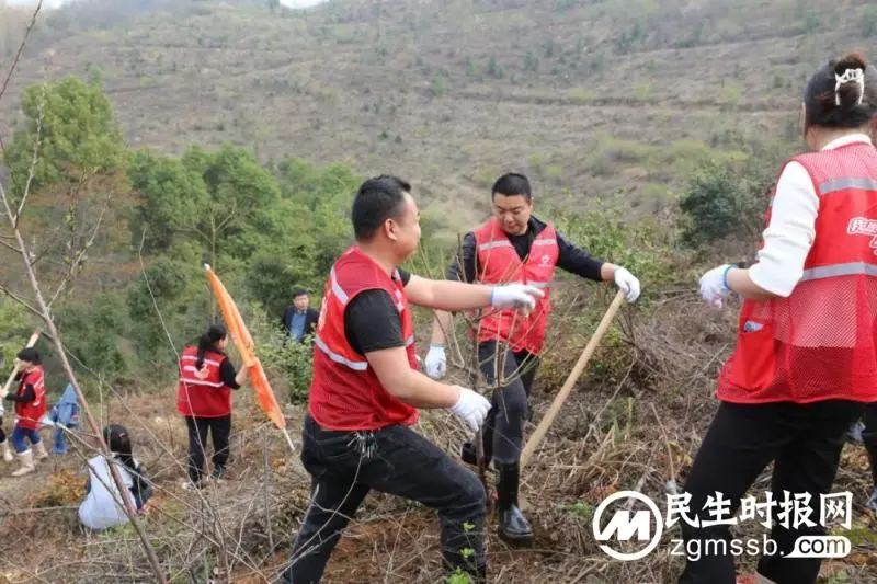 为自然增添一抹绿意 是我们对春天的献礼