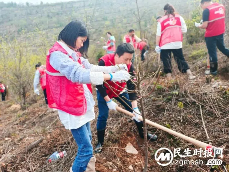 为自然增添一抹绿意 是我们对春天的献礼