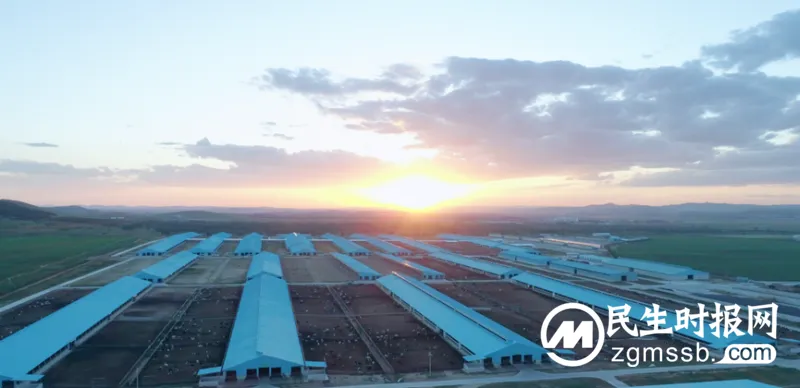 让“五星好奶”没有秘密!走进简爱丰宁阳光工厂 让“五星好奶”没有秘密!走进简爱丰宁阳光工厂