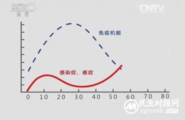 华夏源免疫细胞存储：长期睡眠不足，容易变笨？熬夜危及全身！