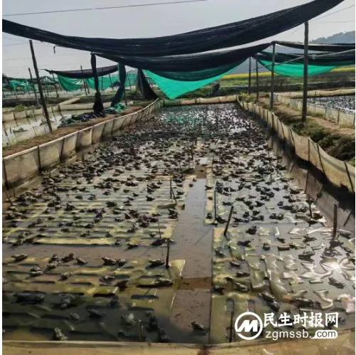 湘潭天易农商银行: 助企纾困见成效 湘潭天易农商银行: 助企纾困见成效