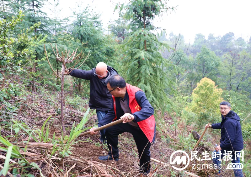 湘潭县疾控中心组织开展义务植树活动