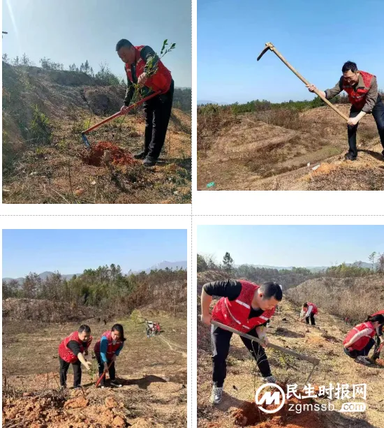荒山重披绿装 荒山重披绿装