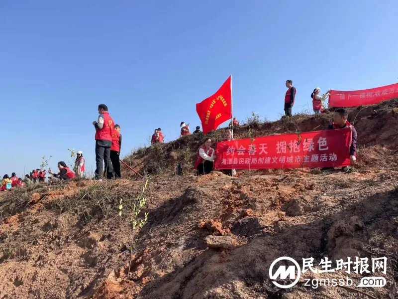 荒山重披绿装 荒山重披绿装