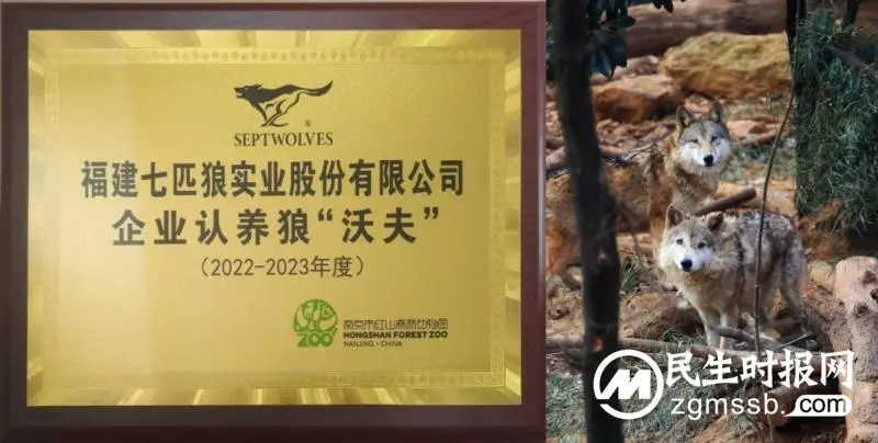 七匹狼集团坚守初心履行企业责任，再度荣获年度负责任投资践行者